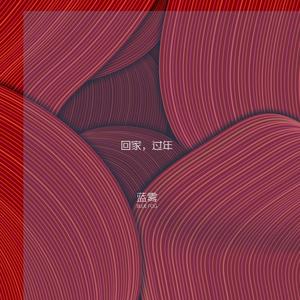 回家，过年(Demo)