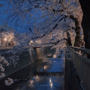 无题（翻自 姜云升）