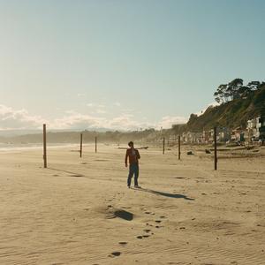 Predictable Orthology (Bonus Track)