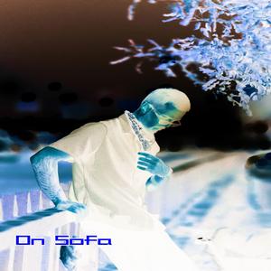 The Bicameral System