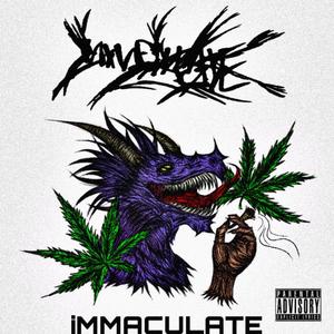 iMMACULATE