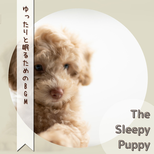 Take a Sleep