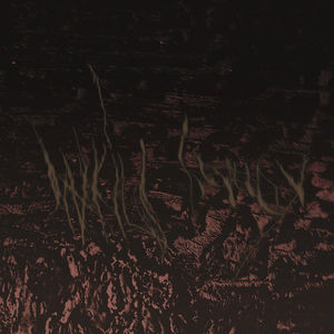 Darkius