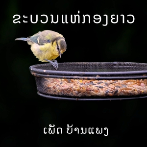 ຂະບວນແຫ່ກອງຍາວ