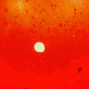 my heart beats for only you (feat. Byehollow)