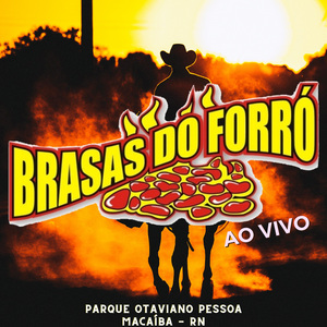Vanerão Apaixonado (Ao Vivo)