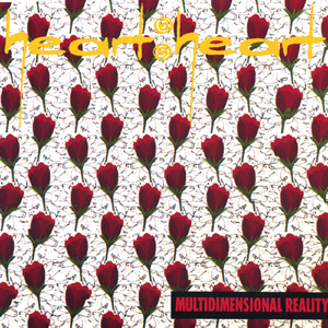 Multidimensional Reality
