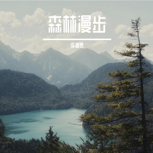 森林漫步