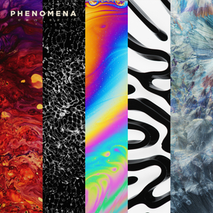 Evolution (Original Mix)