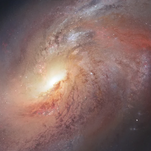 一起去寻找黎明