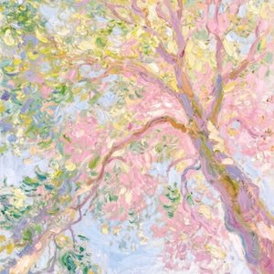 Ｐｉｎｋ Ｓｅａｓｏｎ(粉色春天)