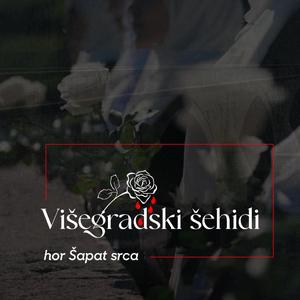 Višegradski šehidi