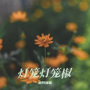 灯笼灯笼椒