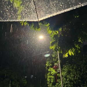 雨