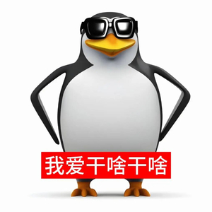 决心