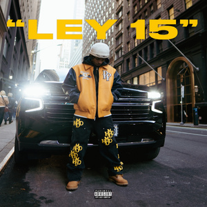 Ley 15