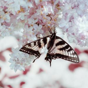 Woke Up by the Sea Shore