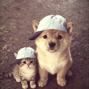 人间一趟AIGC_20260210_161136