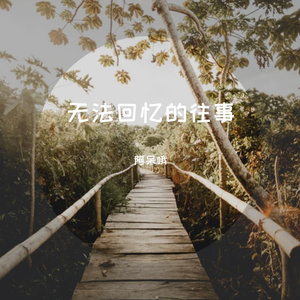 无法回忆的往事