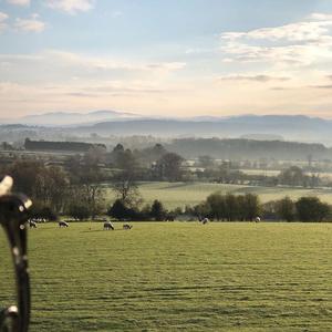 Go round（cover yoga）