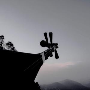 南音-直入花园（R2-蔡凯东 remix）