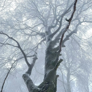 " 花海 Pt.2 "90s Rnb X 周杰伦 Type Beat