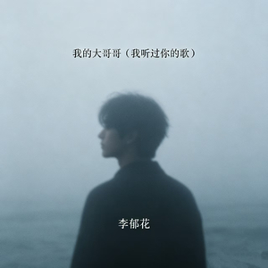 我的大哥哥（我听过你的歌）