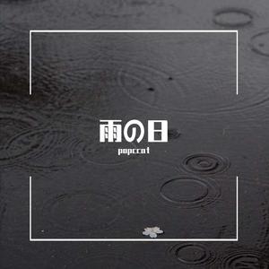 S.E.N.S.-雨の日（下雨天）（popccat remix）