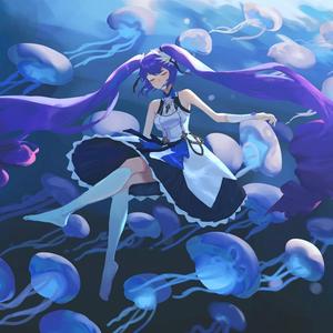 向晚-水母之歌（吹过山顶的风 remix）