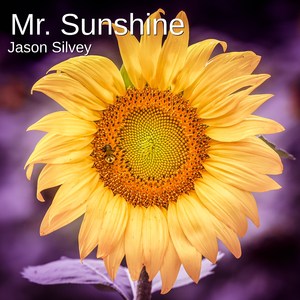 Mr. Sunshine