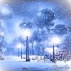 Dennis Kuo - Winter Sparkle