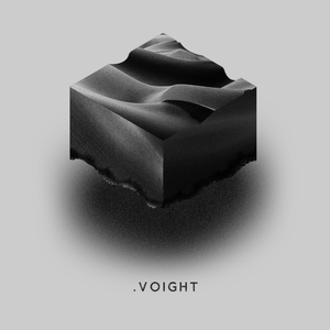 Fallacious Division (Wrong Assessment Remix)