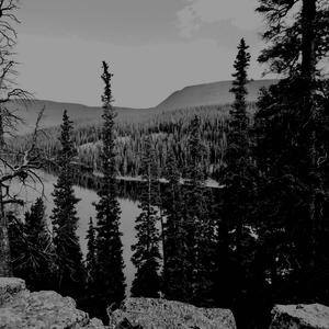 TAMARACK (feat. Yung Ripper)