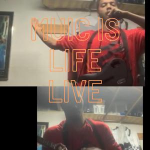 One More Light Cover (Live)