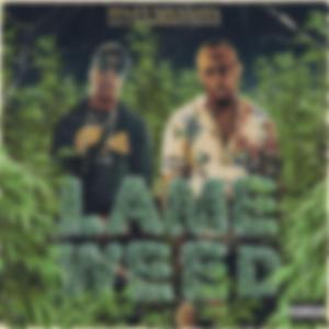 Lame weed (feat. Nixxxsta)