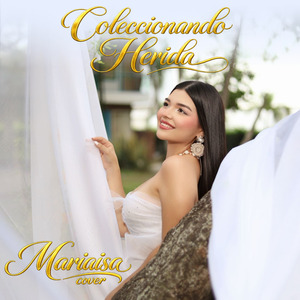 Coleccionando Heridas (Cover)