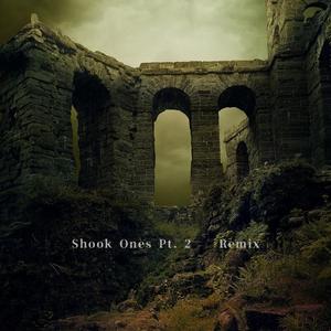 Shook Ones Pt.2 Remix