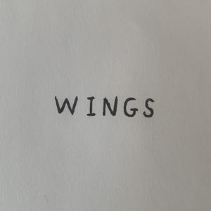 翅膀
