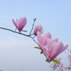 缓缓时光（demo）