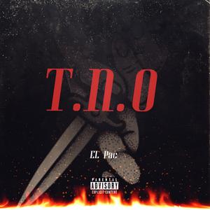 T.N.O