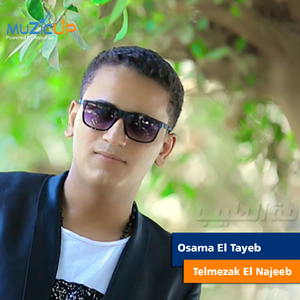 Telmezak El Najeeb