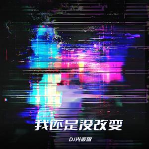 我还是没改变（DJ光波版 ）
