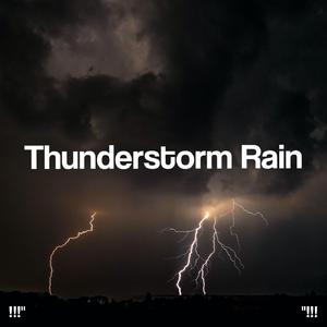 호우 잠