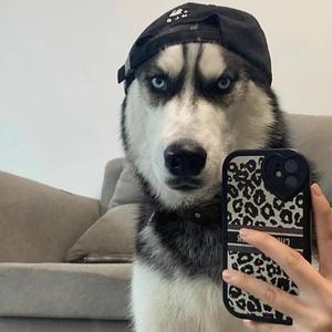 厷厸厹厺厼厽厾 (8)