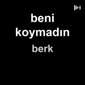 beni koymadın