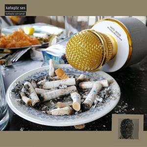 ali erbil sesinden bir ahmet keskinkılıç şiiri: yoktur, olmamıştır