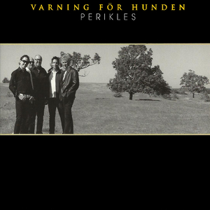 Turning Torso (Unplugged)