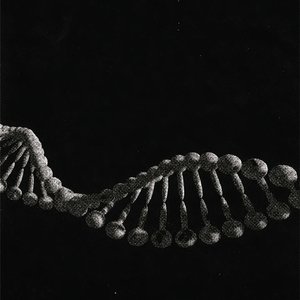 杀死那个石家庄人(努力emo版)