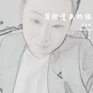 写给遗失的猫