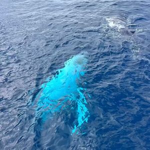 [Free] 雷击顿 Type Beat